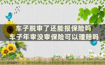 车子脱审了还能报保险吗 车子年审没审保险可以理赔吗